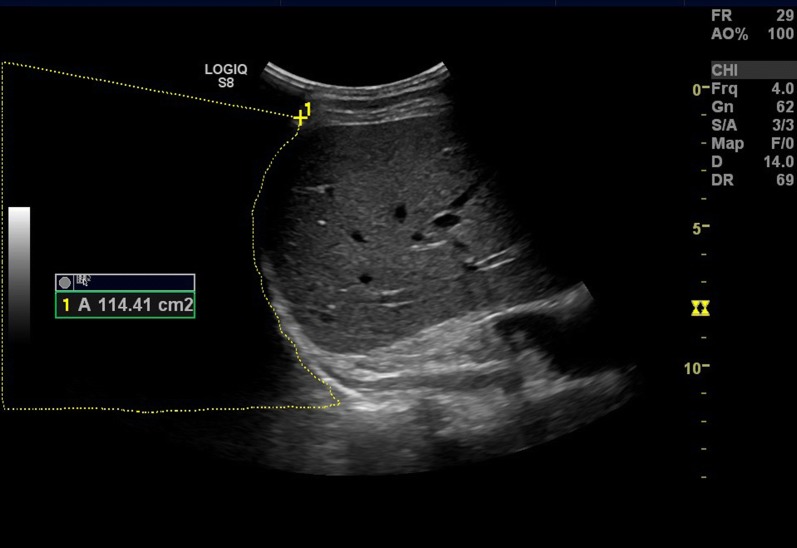 Fig. 3