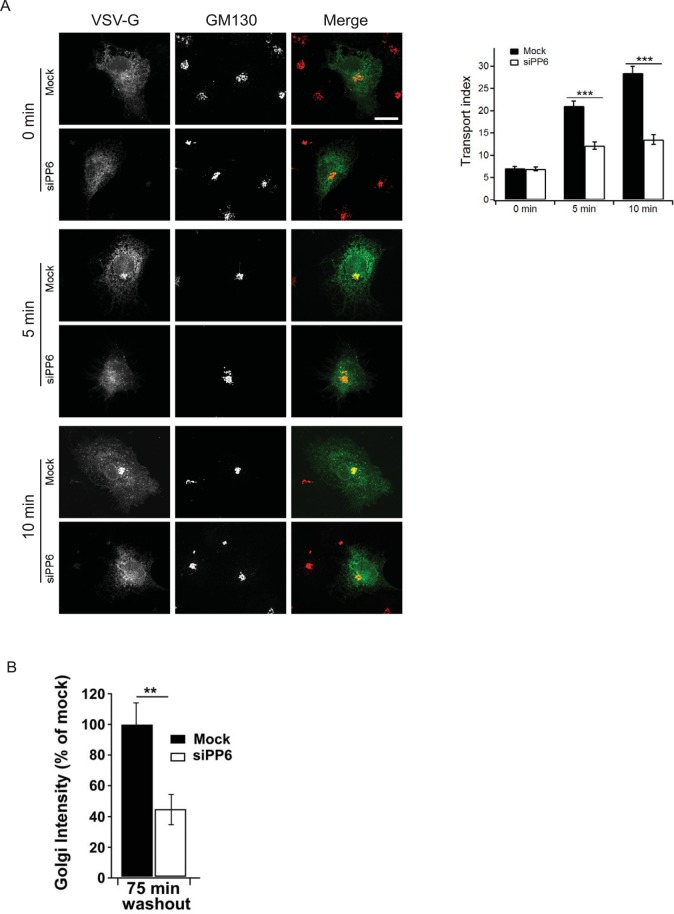 FIGURE 7: