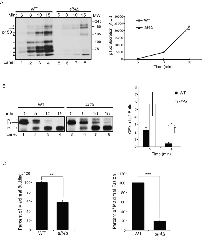 FIGURE 3: