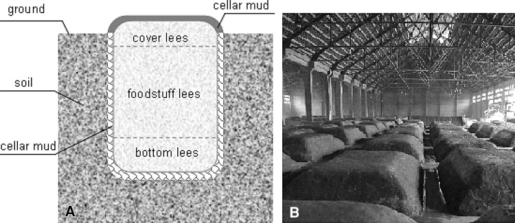 Fig. 1