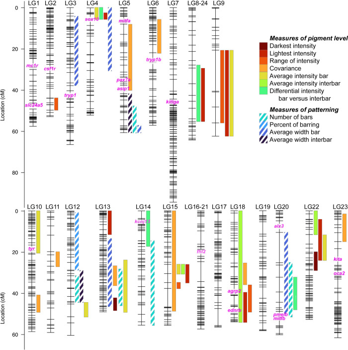 Fig 3