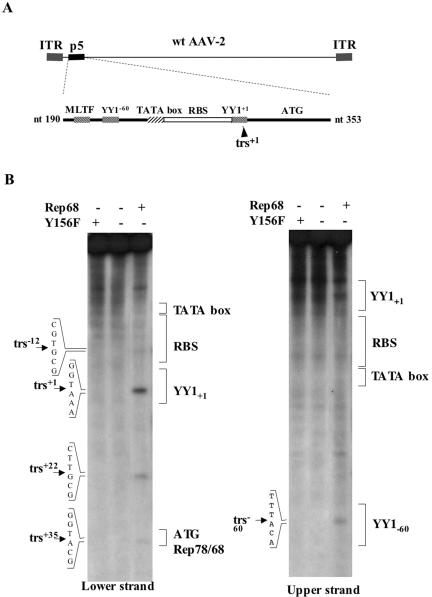 FIG. 1.