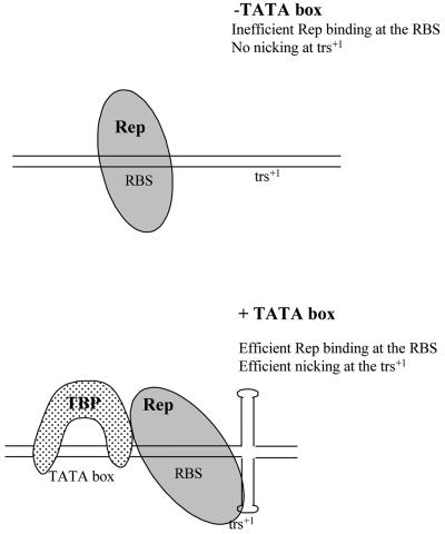 FIG. 9.