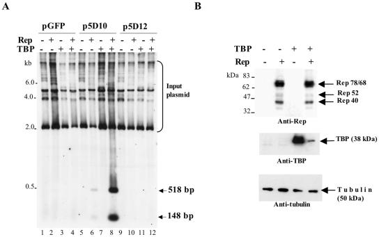 FIG. 7.