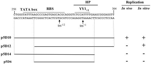 FIG. 8.