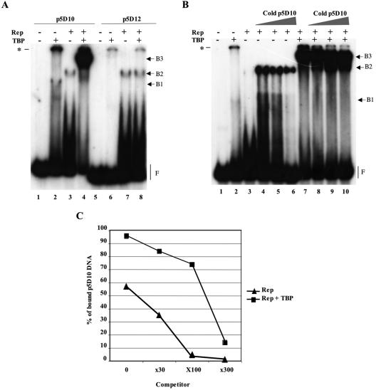 FIG. 5.