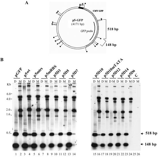 FIG. 3.