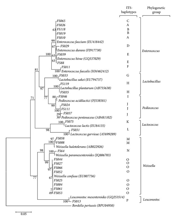 Figure 2