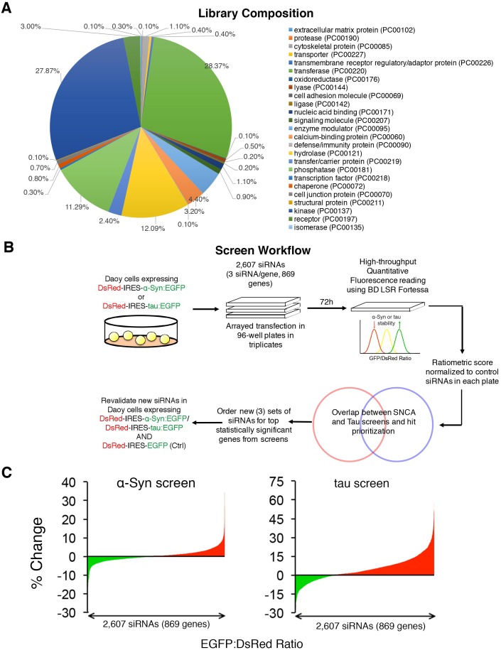 Figure 1—figure supplement 1.