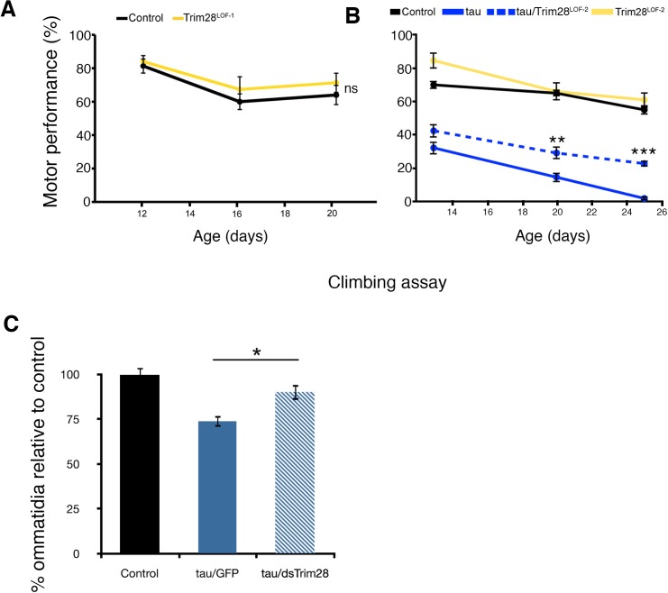 Figure 2—figure supplement 1.