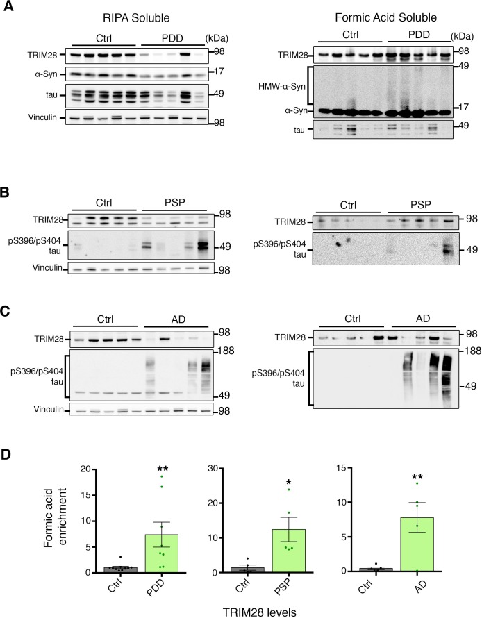 Figure 7—figure supplement 1.