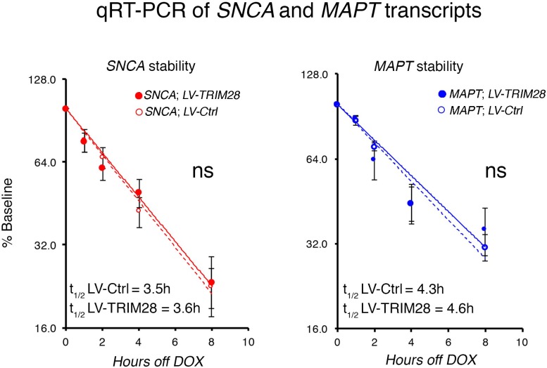 Figure 5—figure supplement 1.