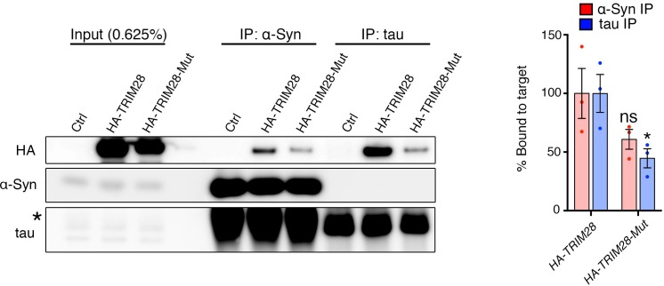 Figure 6—figure supplement 2.