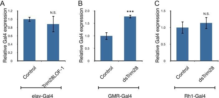 Figure 2—figure supplement 2.