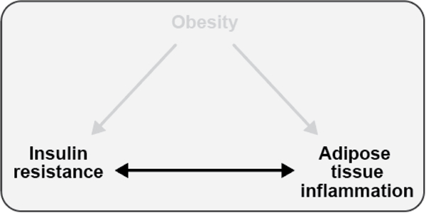 Figure 11.