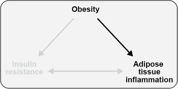 Figure 10.