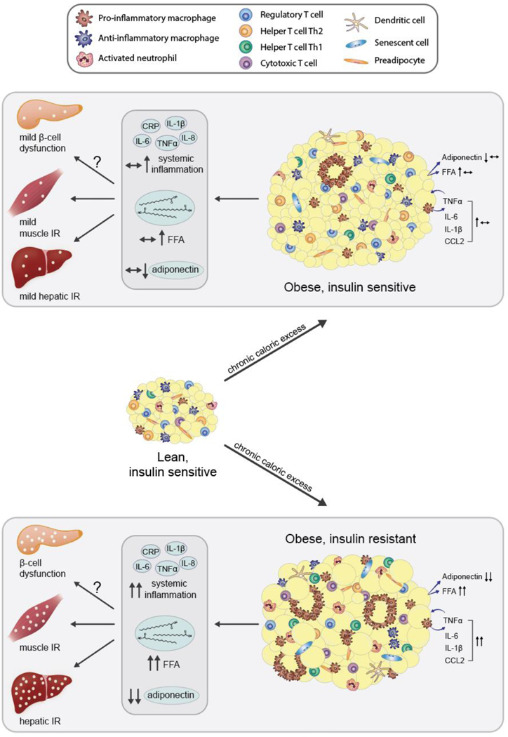 Figure 13.