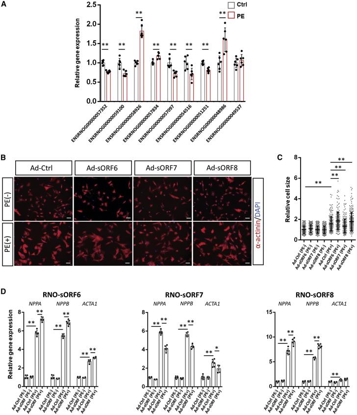 Figure 6