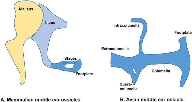 Figure 1: