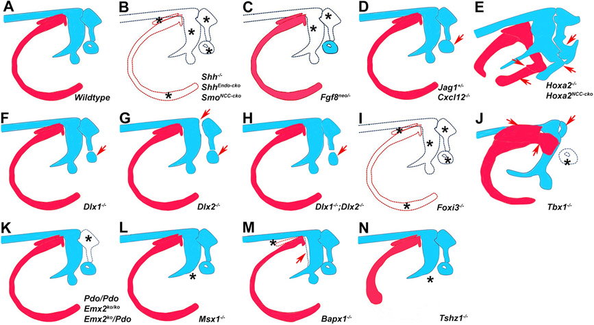 Figure 3: