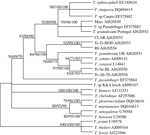 Fig. 1