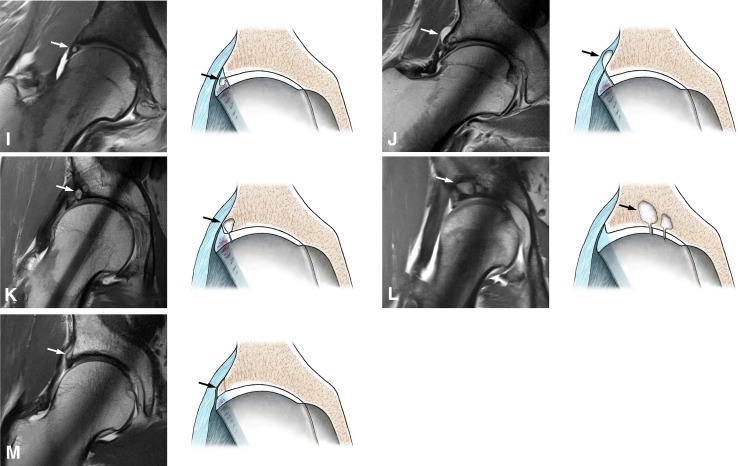 Fig. 2A–M