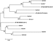 FIG 1