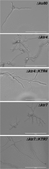 FIG 4