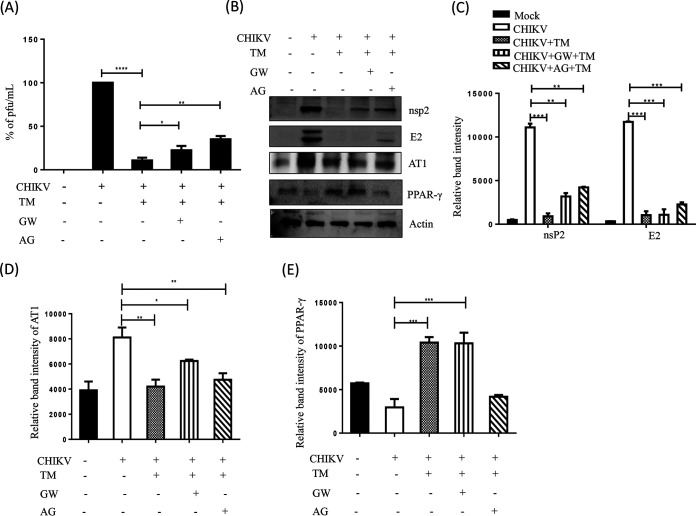 FIG 6