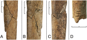 Fig. 3.