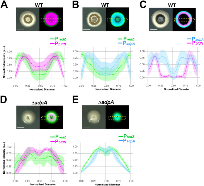 FIG 3