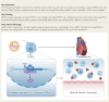 Structured Graphical Abstract