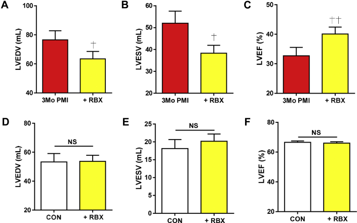 Figure 6