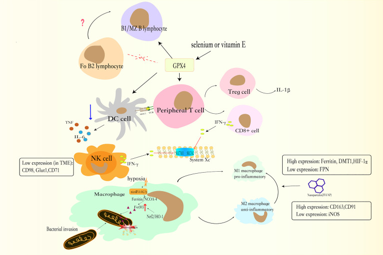 Figure 2