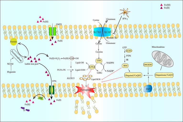 Figure 1