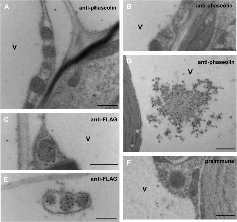 Fig. 9.