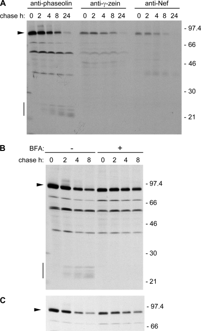 Fig. 8.