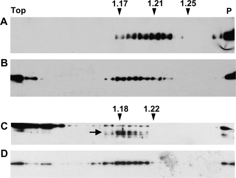 Fig. 10.