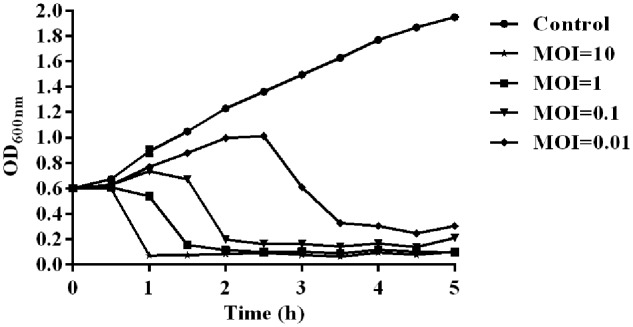 FIGURE 2