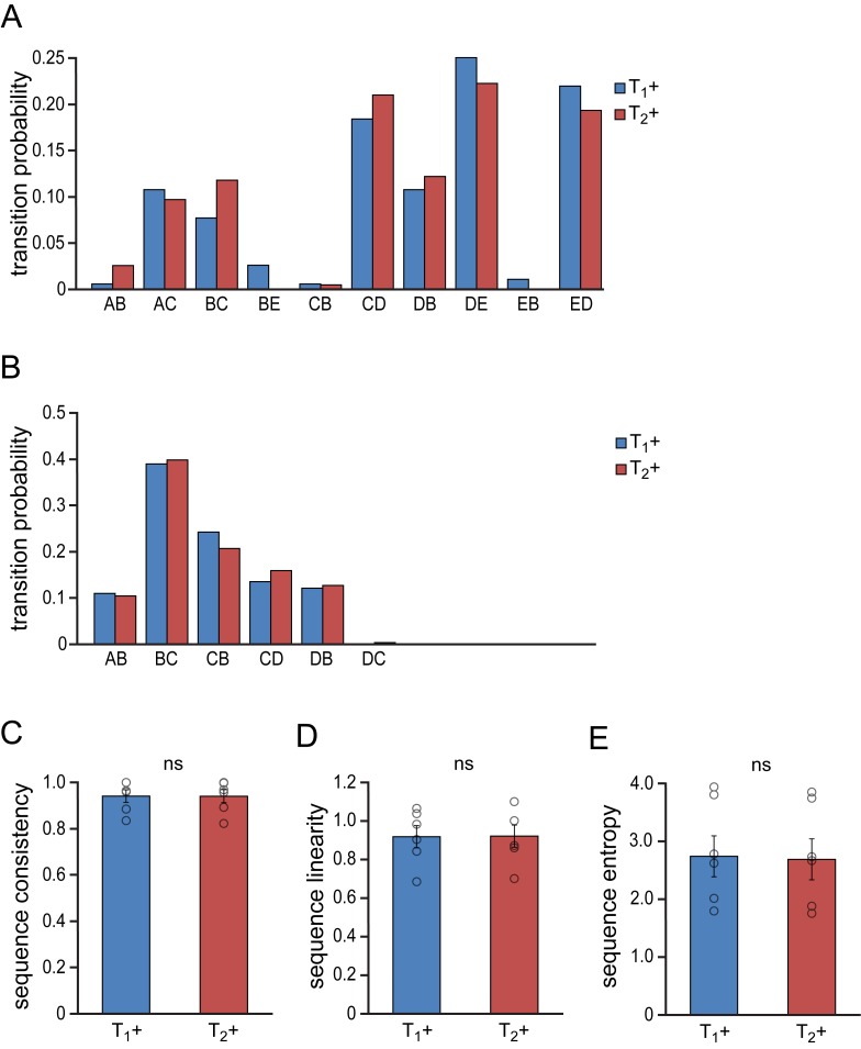 Figure 4—figure supplement 2.