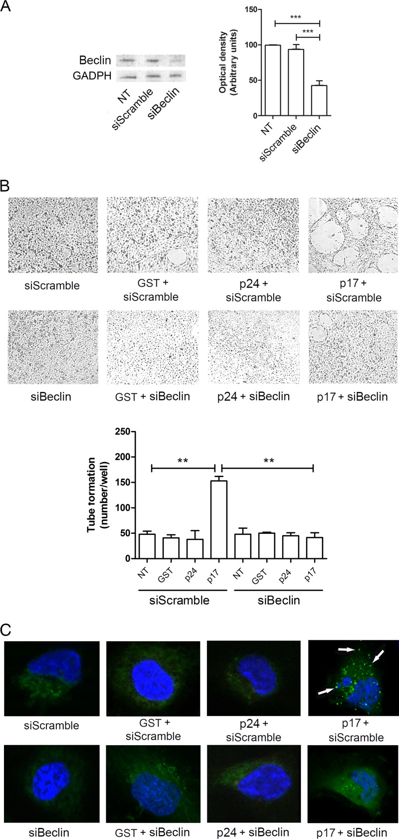 FIG 4