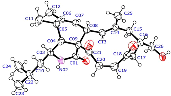 Figure 4