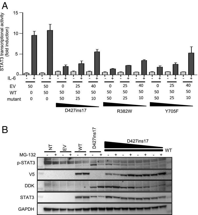 Fig. 8.