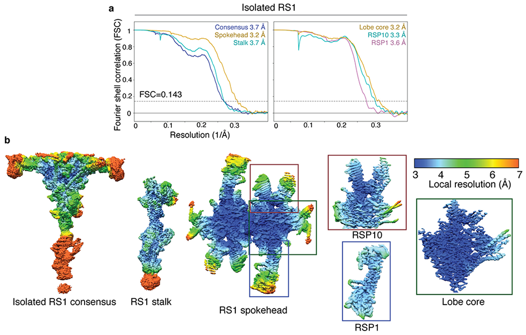 Extended Data Fig. 6 |