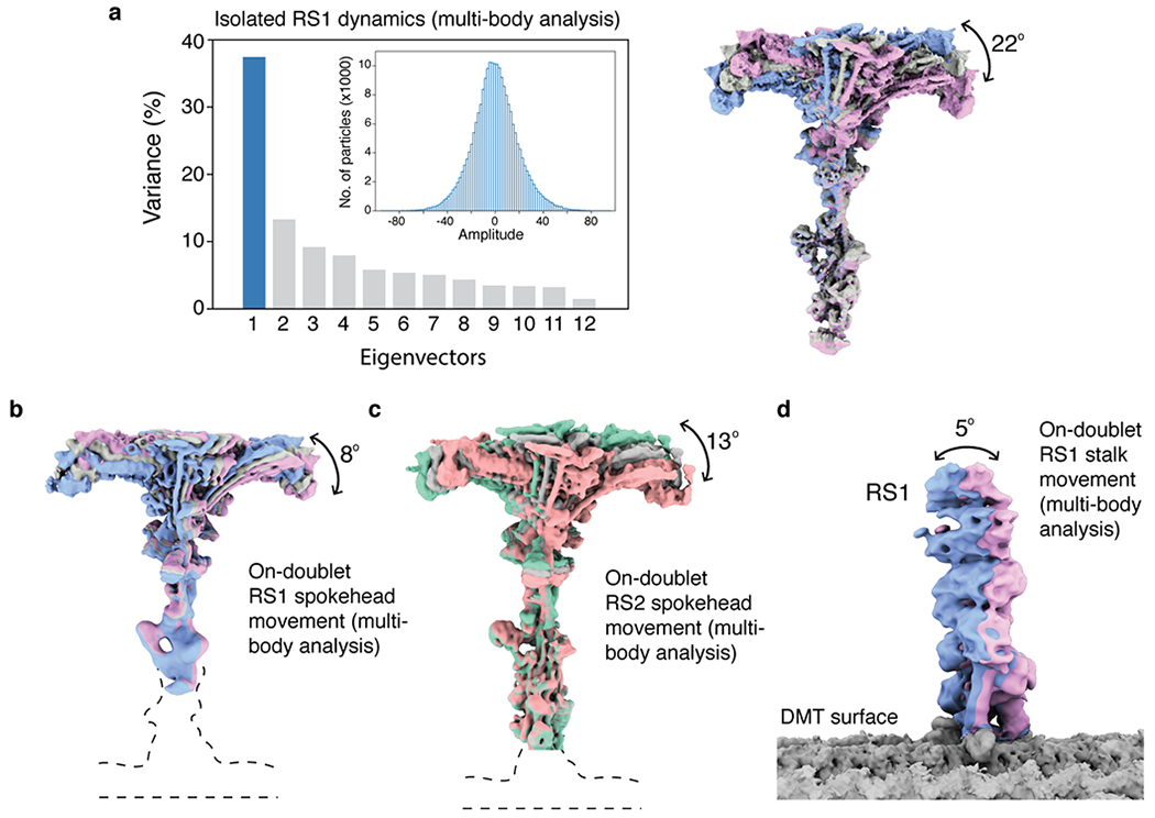 Extended Data Fig. 9 |