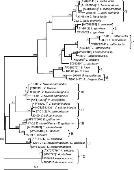 FIG. 2.