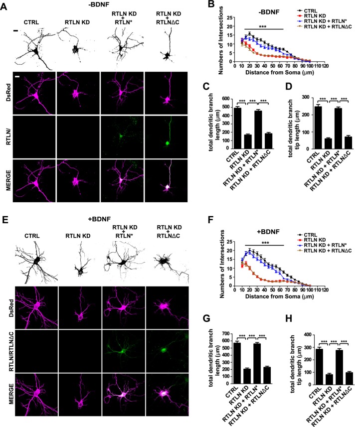 FIGURE 6: