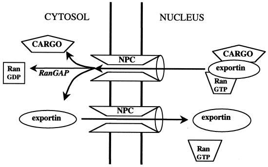 FIG. 5