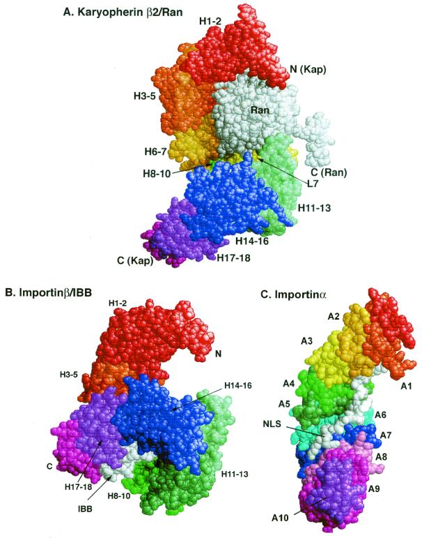 FIG. 1