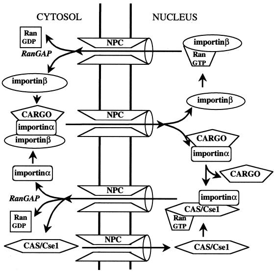 FIG. 3